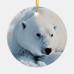 Polar Bear and Snow Ornament