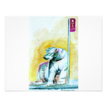 polar bear announcements