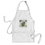 polar bear, bear, large bear, mammal, polar, white bear, white polar bear, arctic, arctic bear, bears, zoo, animal, wild life, wild animal, animals