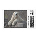 Polar Bear at Ease postage by Inspirational_Gifts Polar Bear at Ease postage