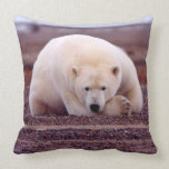 Polar Bear At Rest Pillow Polar Bear At Rest Pillow