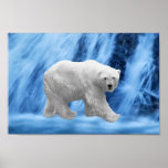 Polar Bear at the frozen waterfall Poster