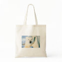Polar Bear Bag