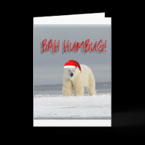 Polar Bear "Bah Huimbug" 1 cards