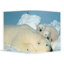 Polar Bear Binder by zzzeeepsdesigns Polar Bear Binder