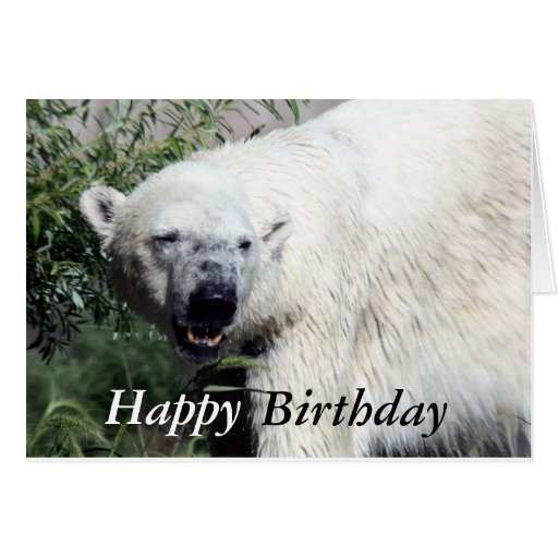 Polar Bear Birthday Card | Zazzle