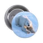 Polar Bear Blue Button