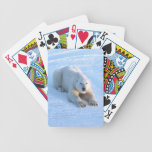 Polar Bear Blue Deck Of Cards