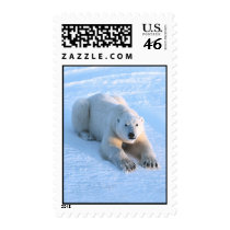 Polar Bear Blue Postage