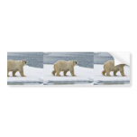 Polar Bear Bumper Sticker