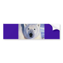Polar Bear Bumper Stickers
