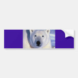 Polar Bear Bumper Stickers