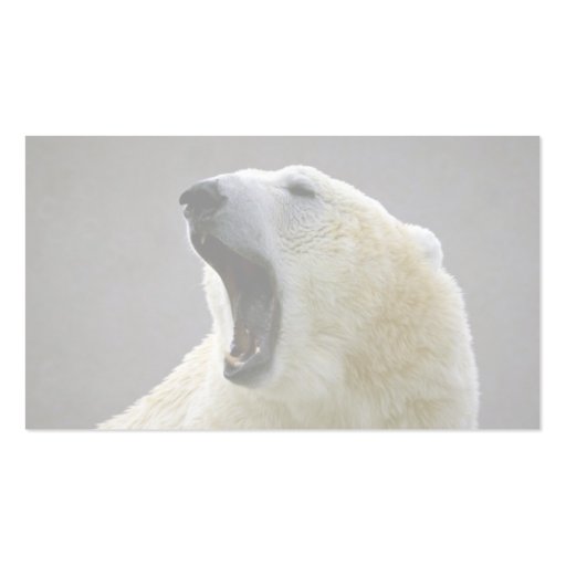 Polar bear business cards (back side)