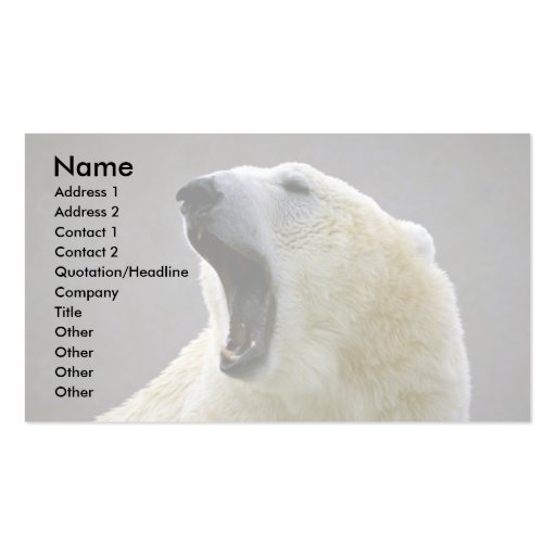 Polar bear business cards (front side)
