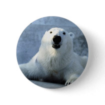 Polar Bear buttons