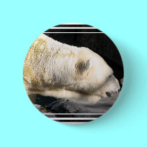 Polar Bear buttons by Artists4God Polar Bear buttons