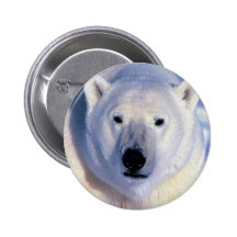Polar Bear Button