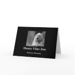 Polar Bear Greeting Cards