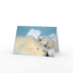 POLAR BEAR CARD