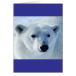 Polar Bear Card