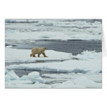 Polar Bear Card