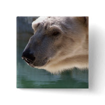 Polar Bear Close Up Portrait buttons by thekingchivas Polar Bear Close Up Portrait buttons