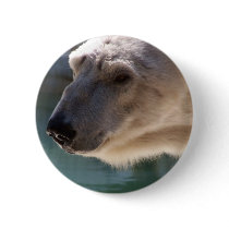Polar Bear Close Up Portrait buttons by thekingchivas Polar Bear Close Up Portrait buttons