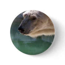 Polar Bear Close Up Portrait buttons by thekingchivas Polar Bear Close Up Portrait buttons