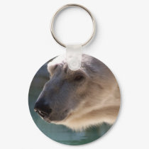 Polar Bear Close Up Portrait keychains by thekingchivas Polar Bear Close Up Portrait keychains