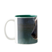 Polar Bear Close Up Portrait mugs by thekingchivas Polar Bear Close Up Portrait mugs