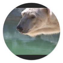 Polar Bear Close Up Portrait stickers by thekingchivas Polar Bear Close Up Portrait stickers