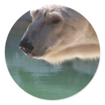 Polar Bear Close Up Portrait stickers by thekingchivas Polar Bear Close Up Portrait stickers
