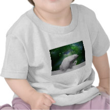 Polar Bear, cub and Northern Lights aurora Shirts