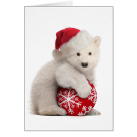 Polar Bear Cub Christmas Card