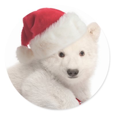 Polar Bear Cub Christmas Stickers