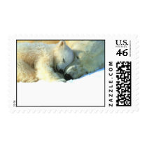 Polar Bear & Cub Postage
