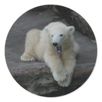 Polar Bear Cub stickers by EMangl Polar Bear Cub stickers