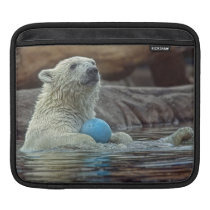 Polar Bear Cub with Toy Sleeves For Ipads