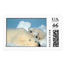 Polar Bear & Cubs by Steve Amstrup postage