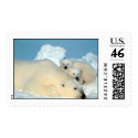 Polar Bear & Cubs by Steve Amstrup postage