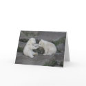 Polar Bear Cubs cards by EMangl Polar Bear Cubs cards