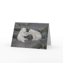 Polar Bear Cubs cards by EMangl Polar Bear Cubs cards