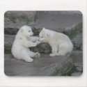 Polar Bear Cubs mousepads by EMangl Polar Bear Cubs mousepads