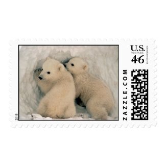 Polar Bear Cubs Postage stamp
