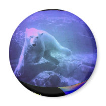 POLAR BEAR DREAMS FRIDGE MAGNETS