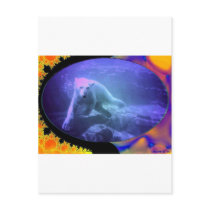 POLAR BEAR DREAMS POSTCARDS