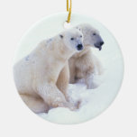 Polar Bear Duo Ornament
