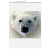 Polar Bear Face Greeting Card