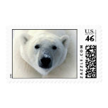 Polar Bear Face Postage
