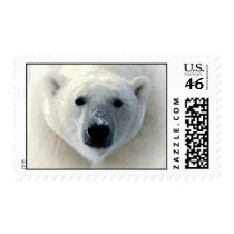 Polar Bear Face Postage